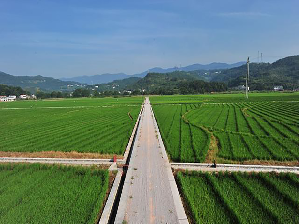 高标准农田